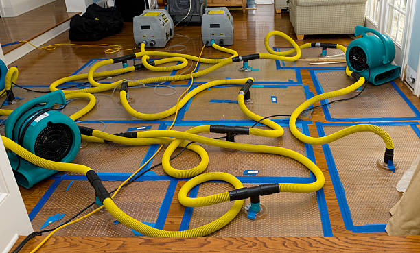Professional Burst Pipe Water Damage technician working in Wood River, IL