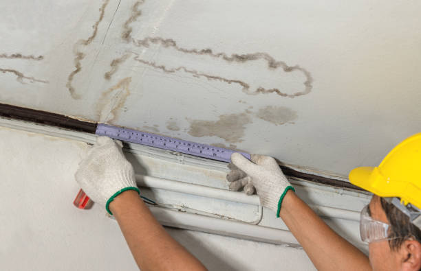 Affordable Water Damage Repair solutions in Wood River, IL